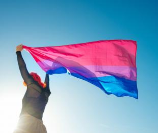 Día Internacional de la Bisexualidad