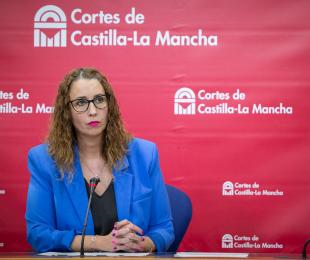 La consejera de Igualdad en la Comisión de Economía y Presupuestos de las Cortes